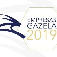 empresasgazela